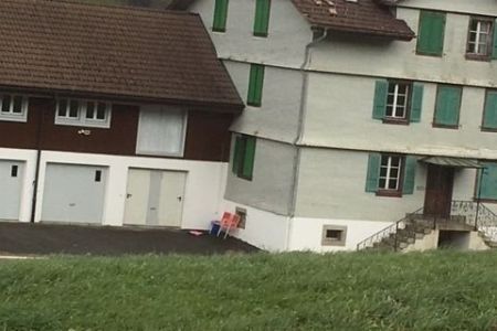 Hinterwidenmatt_IMG_5747.JPG