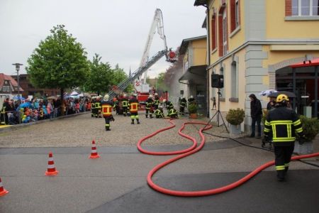 IMG_0227.jpg
